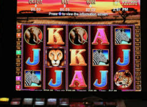 赏金国际vip登录入口客户端