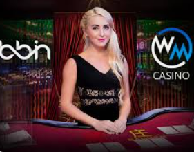 赏金国际vip登录入口正式版